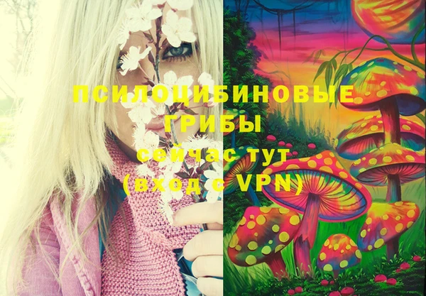 прущая мука Белокуриха