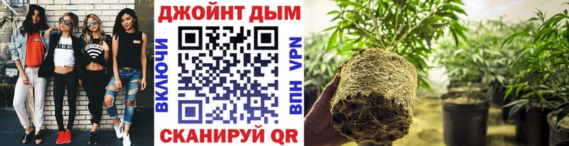 Марихуана ГИДРОПОН  Крымск 